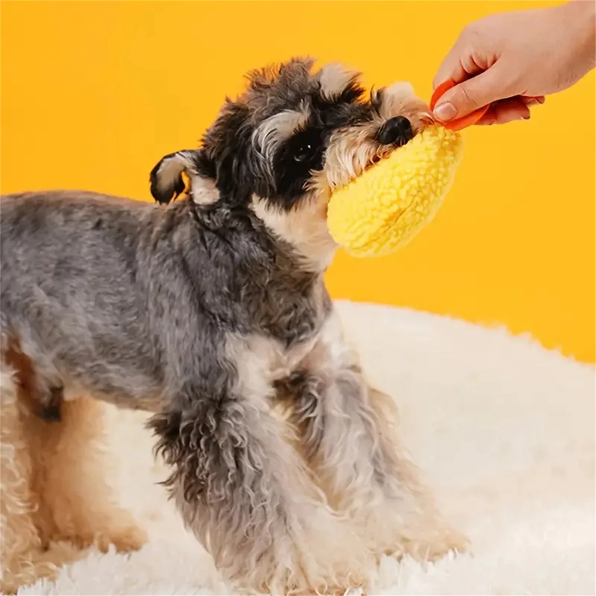Brinquedo para Cães Camarão Frito com Som - Image 4