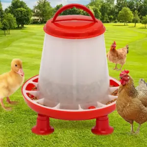 balde alimentador de aves com pernas