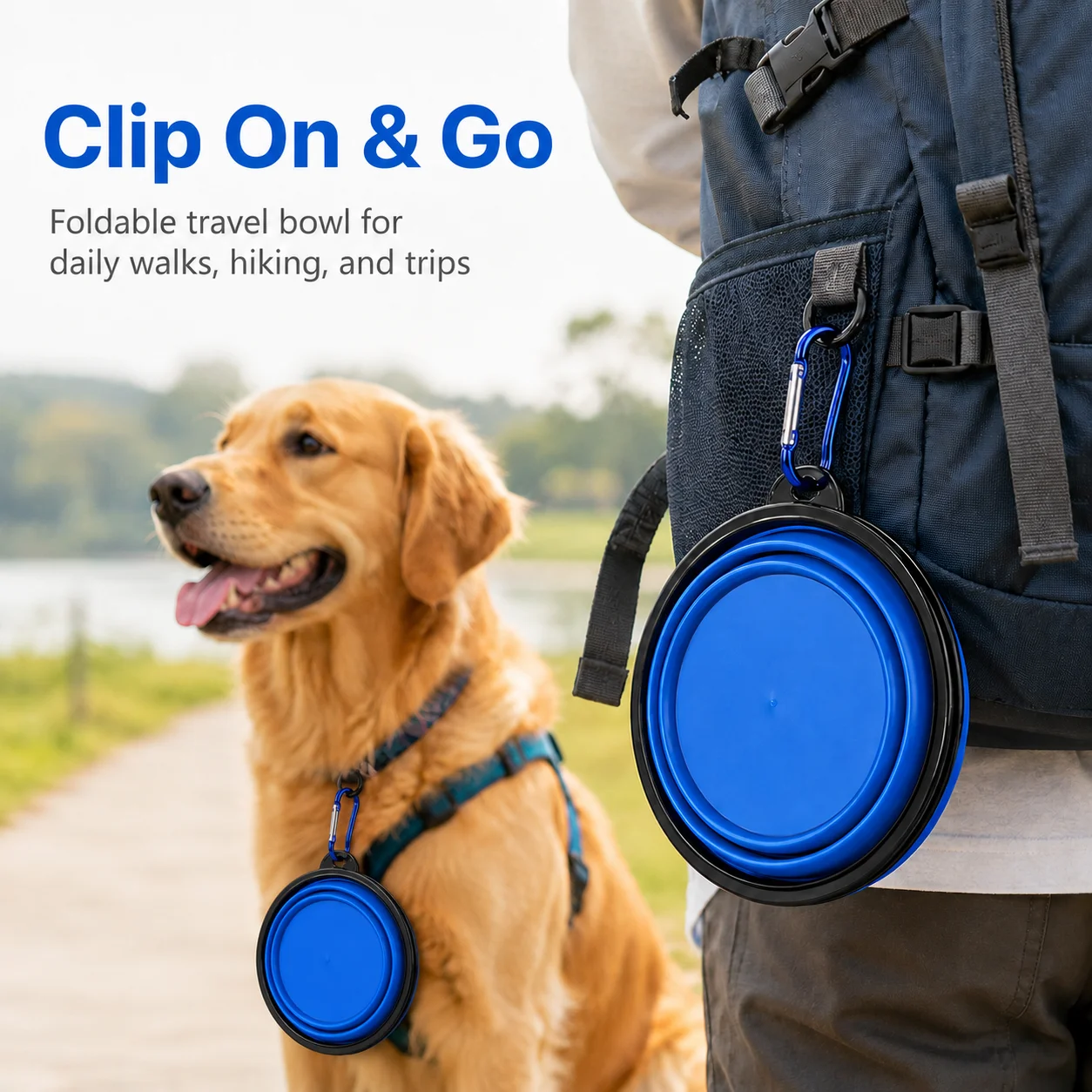 Tigela Dupla de Silicone Dobrável para Cães e Gatos Viagem - Image 6