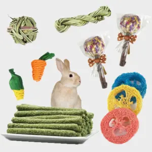 conjunto de brinquedos para roer coelhos