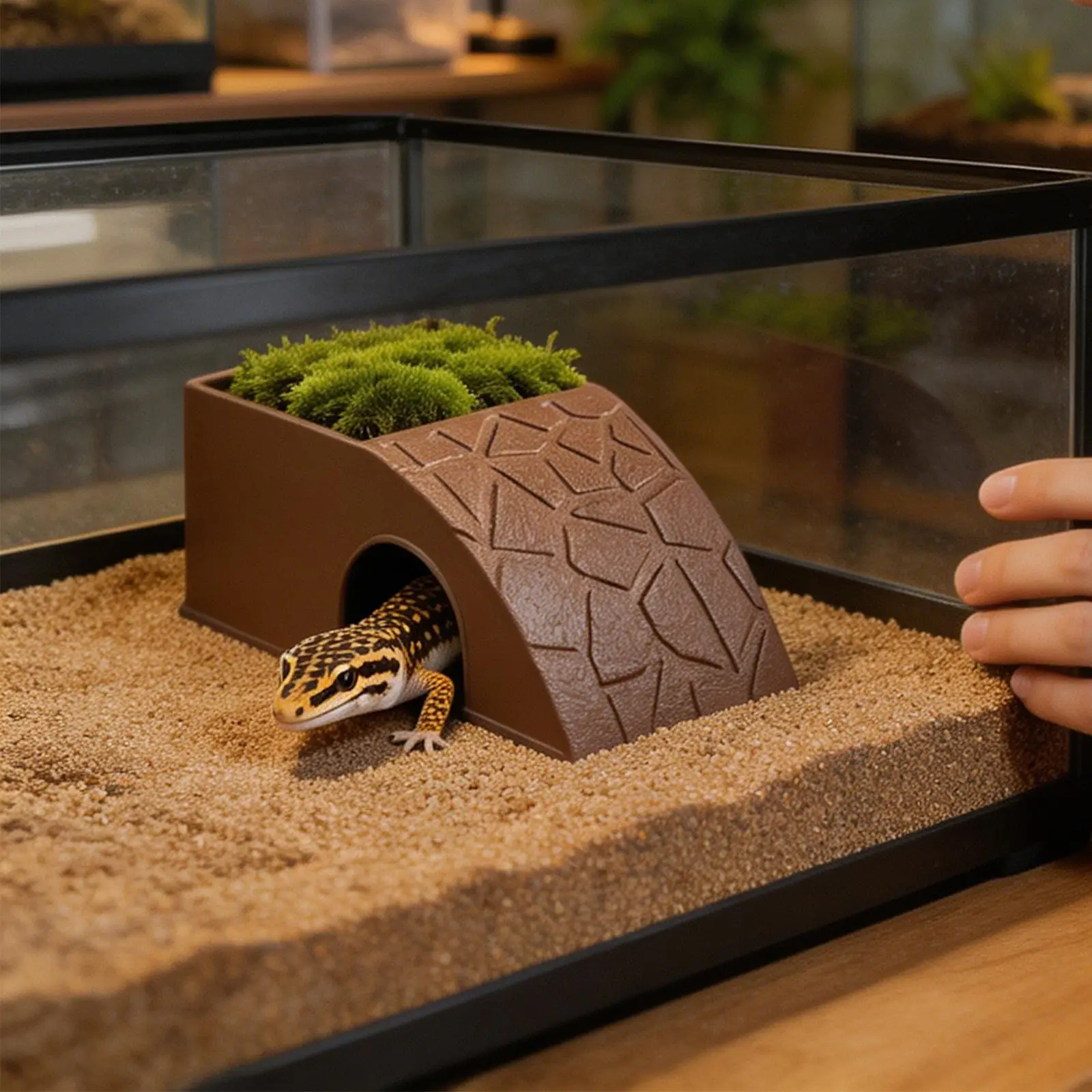 Abrigo e Comedouro para Répteis com Plataforma para Banho de Sol - Imagem 4