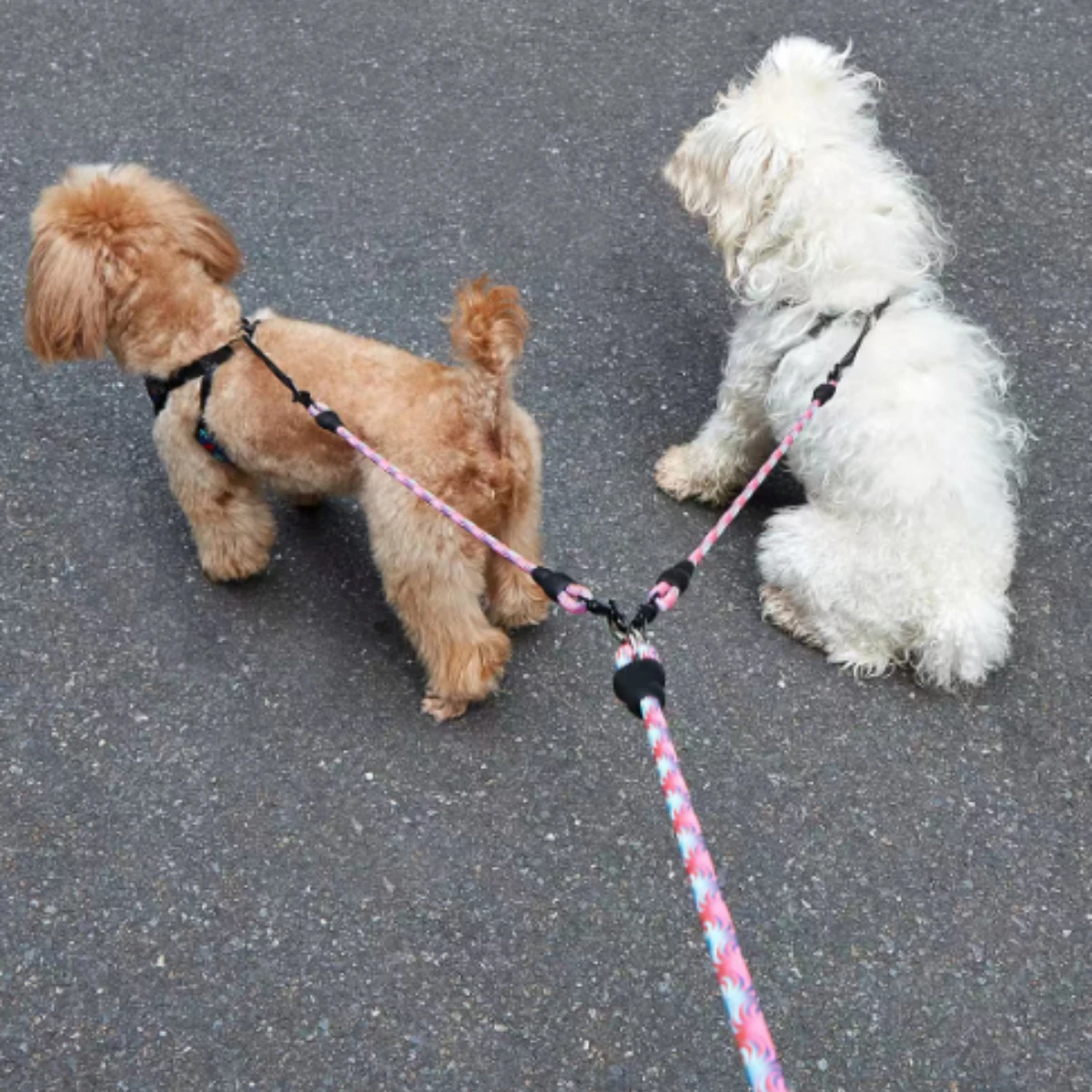 Corda Guia Dupla para Cães com Padrão Onda Anti-Enrolamento - Imagem 3