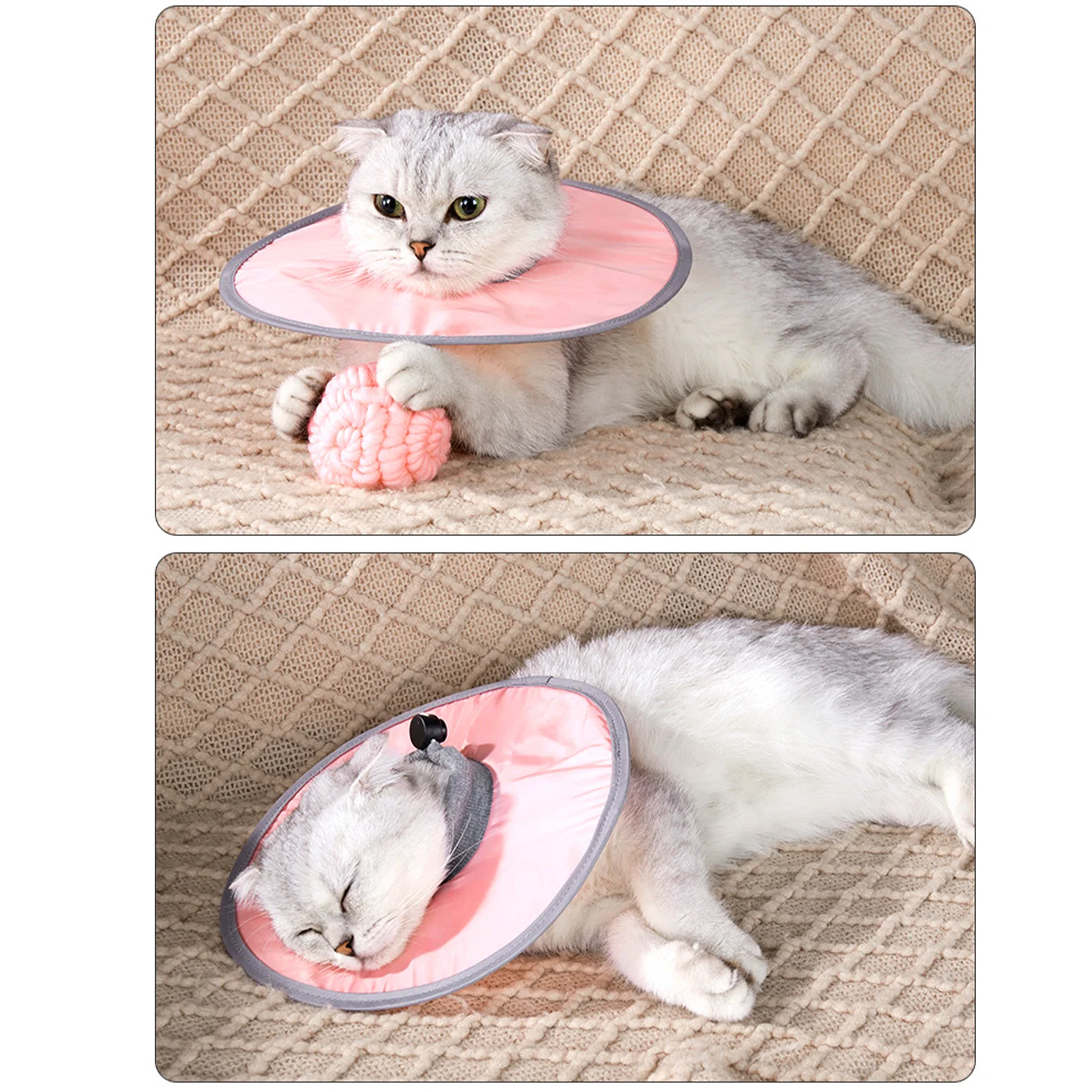 Coleira Pós-Cirúrgica para Gatos Ajustável e Impermeável - Image 5