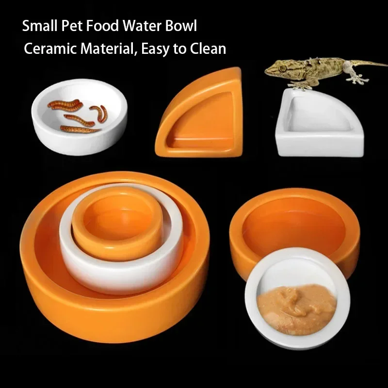 Alimentador Cerâmico para Répteis e Tartarugas 6,8 cm com Borda Antifuga - Image 4