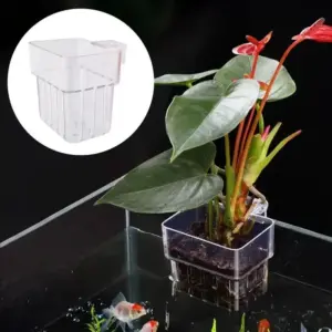 cesto transparente para plantas de aquário