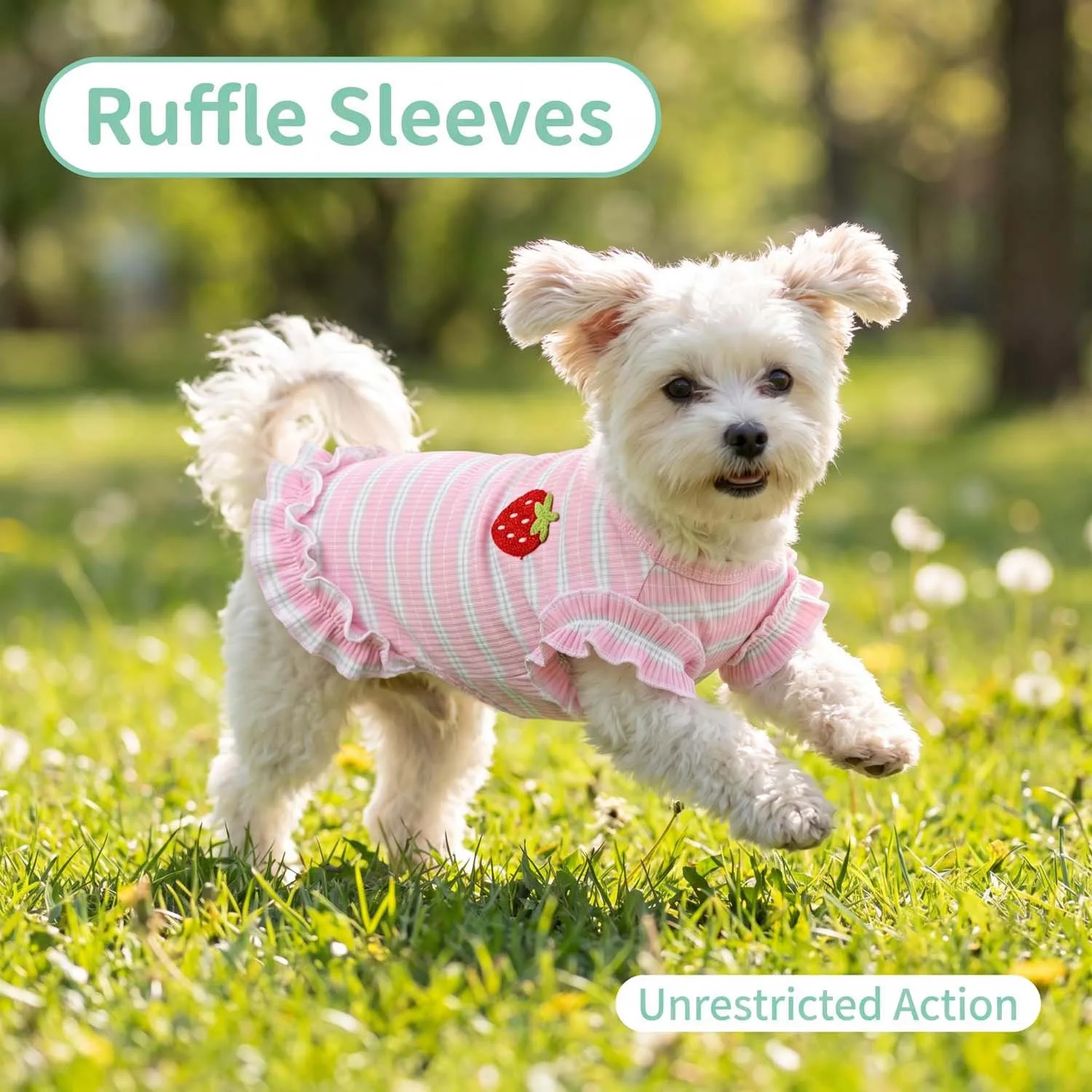 Vestido para Cães com Bainha Franzida e Bordado de Morango - Image 2