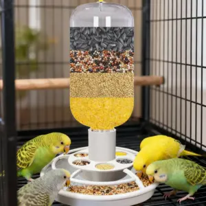 alimentador automático para pássaros