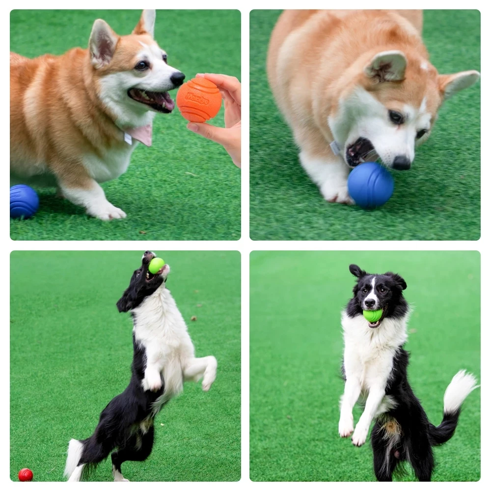 Bola de Brinquedo para Cães de TPR Resistente a Mordidas para Lançamento - Imagem 6