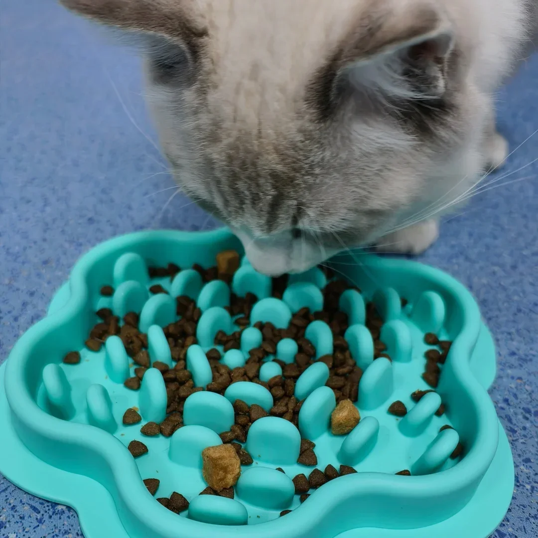 Tigela de Alimentação Lenta para Cães e Gatos de Silicone Comestível Anti-Tombamento - Imagem 2