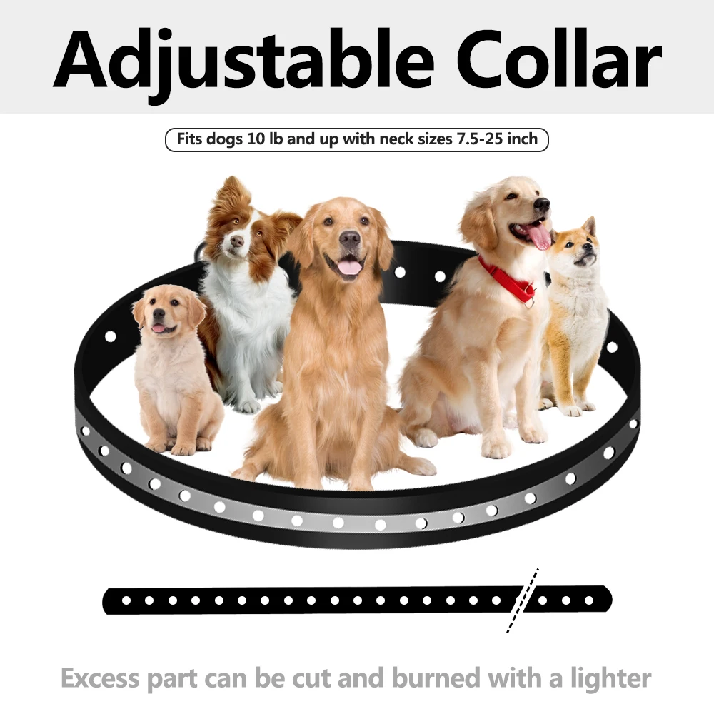 Coleira para Cães Ajustável Durável e Inodora - Imagem 4