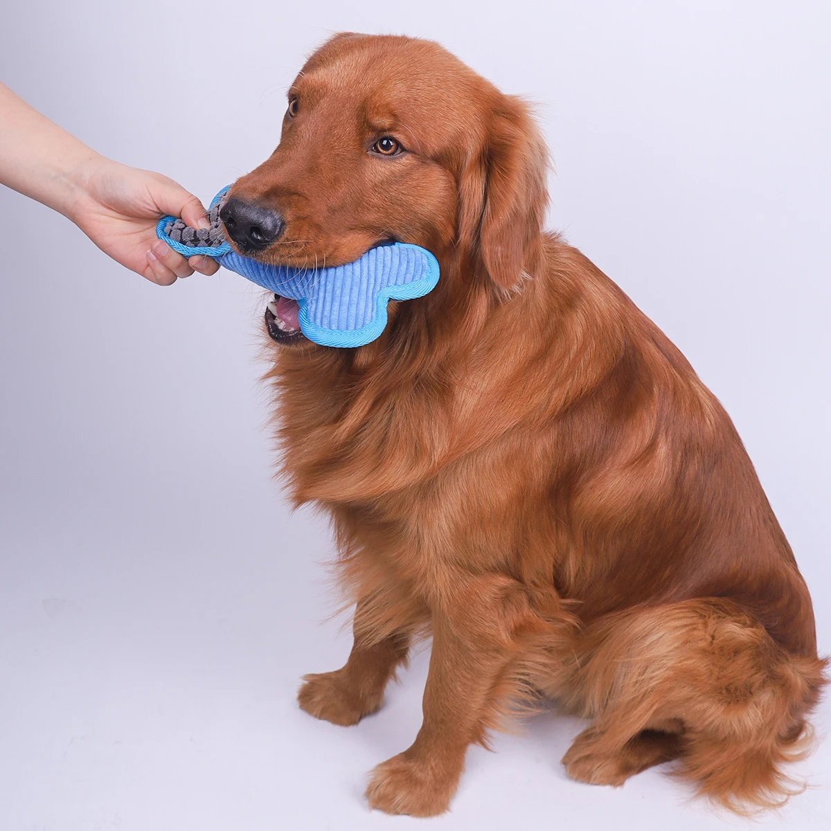 Brinquedo de Pelúcia para Cães com Som Cores Sortidas - Imagem 6