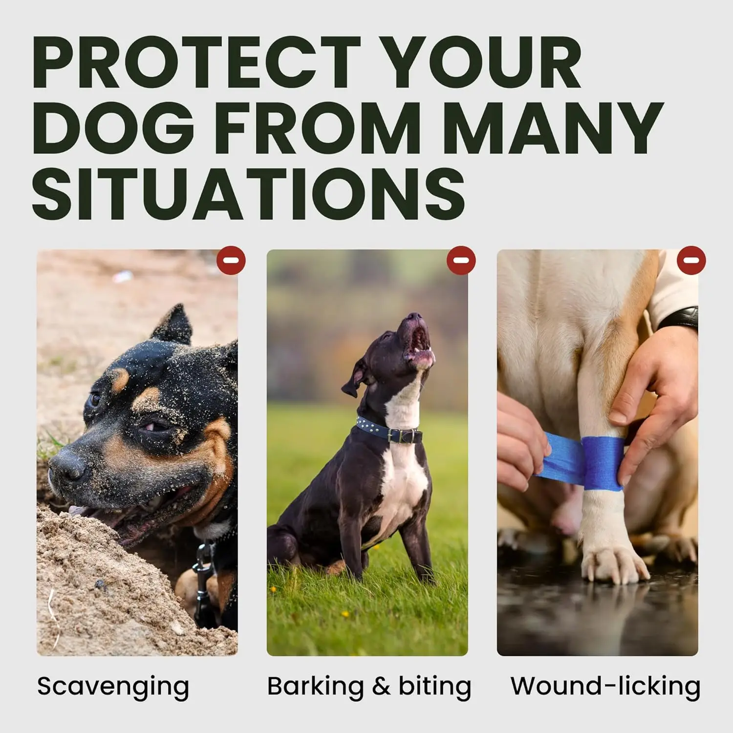 Focinheira Ajustável para Cães de Aço Inoxidável com Fivela - Image 5