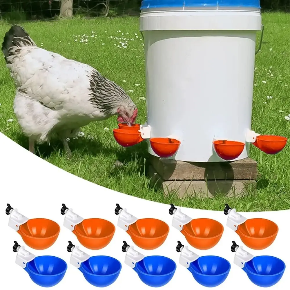 bebedouro automático para aves de plástico