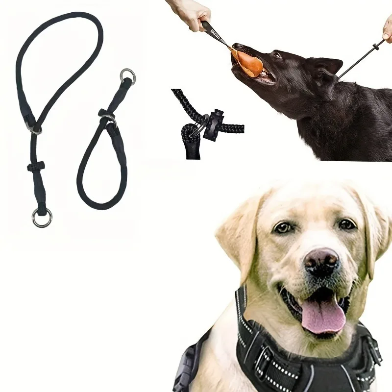 Trela de Treinamento para Cães de Poliéster com Coleira Ajustável - Imagem 4