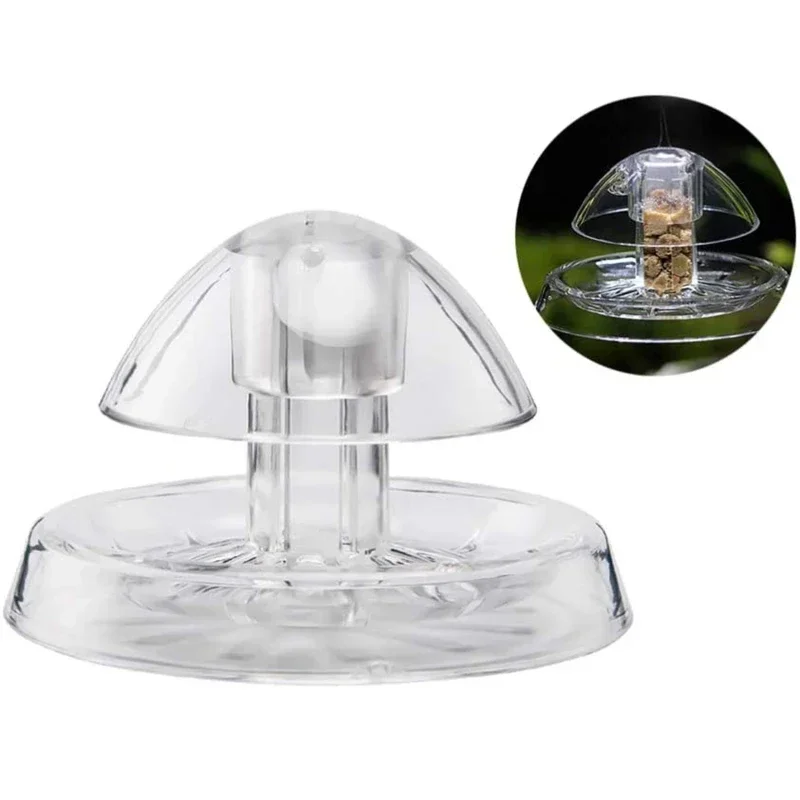 Armadilha para Caracol de Aquário Plástico Transparente 6 cm - Imagem 6