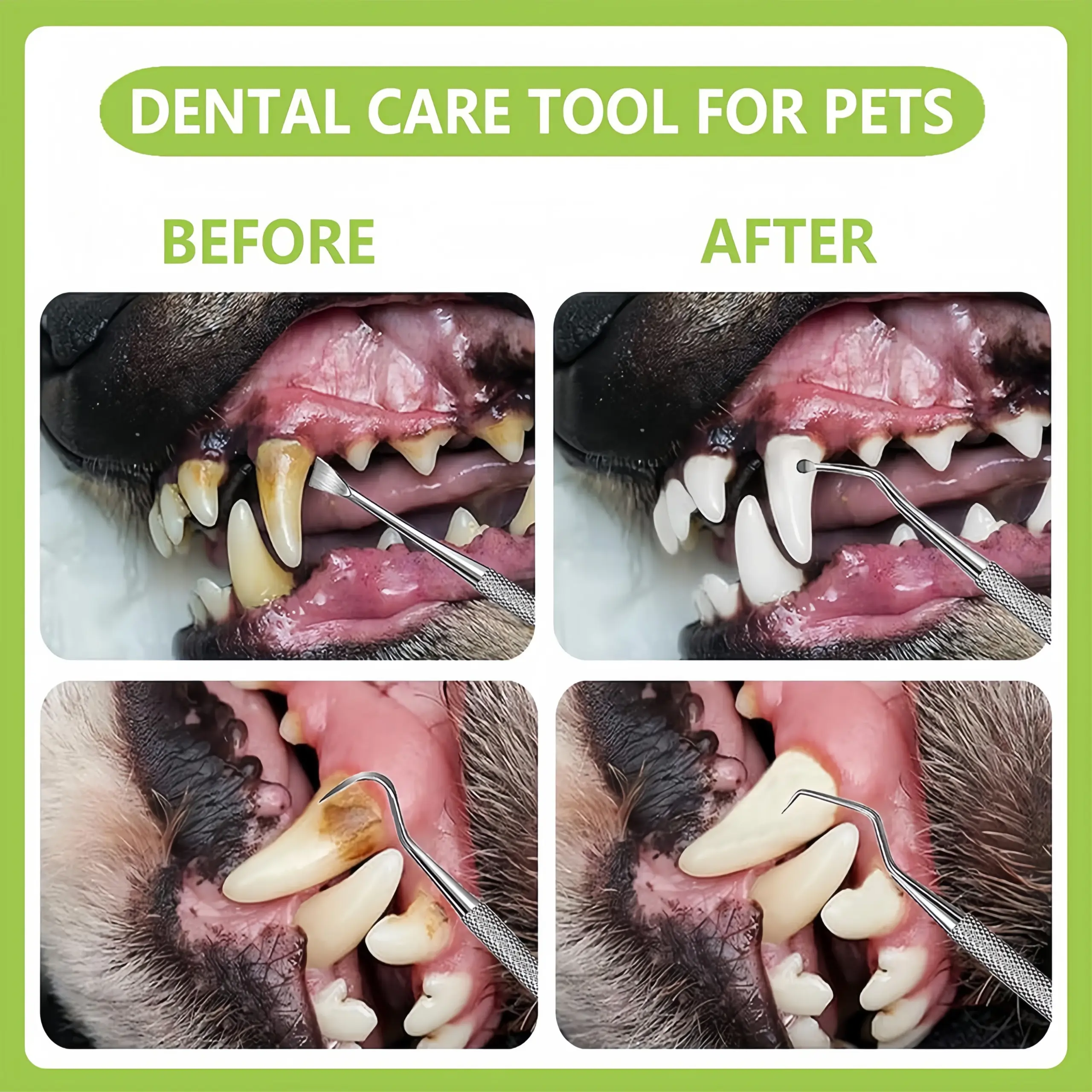 Kit Limpeza Dental para Cães e Gatos em Aço Inoxidável - Image 3