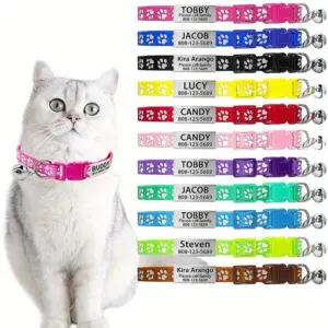 coleira para gatos com gravação