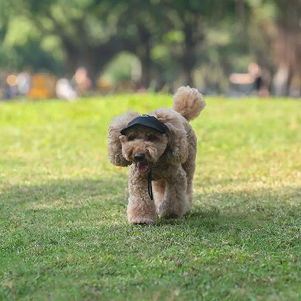 Boné de Beisebol para Cães e Gatos com Viseira Ajustável e Orelhas - Image 4