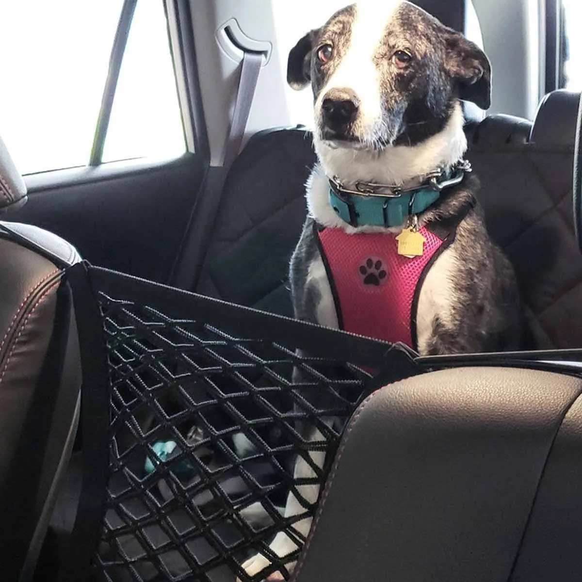 Rede de Proteção Carro para Cães Elástica 29x24 cm - Imagem 4