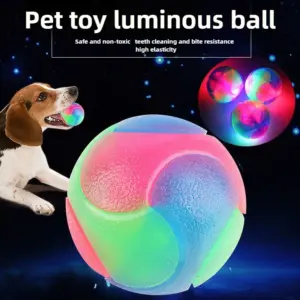 bola de borracha para cães