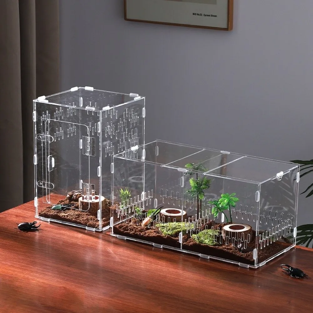 Terrário Acrílico para Aranha Saltadora 40x20x20cm com 2 Portas - Imagem 5