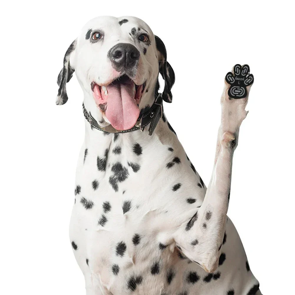 Adesivo de Pata para Cães com Silicone e Nano Material 4 Peças - Imagem 5