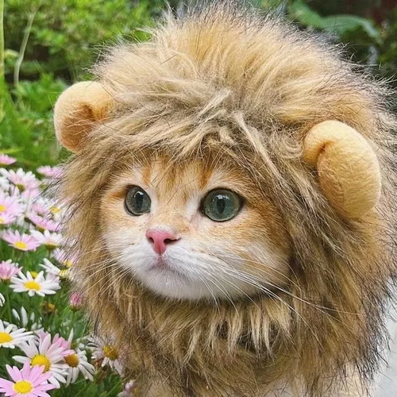 peruca juba de leão para gatos