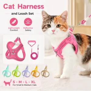 conjunto coleira e guia para gato ajustável