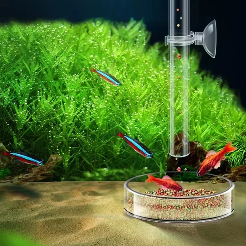 Alimentador para Aquário de Acrílico Transparente com Ventosa - Imagem 6