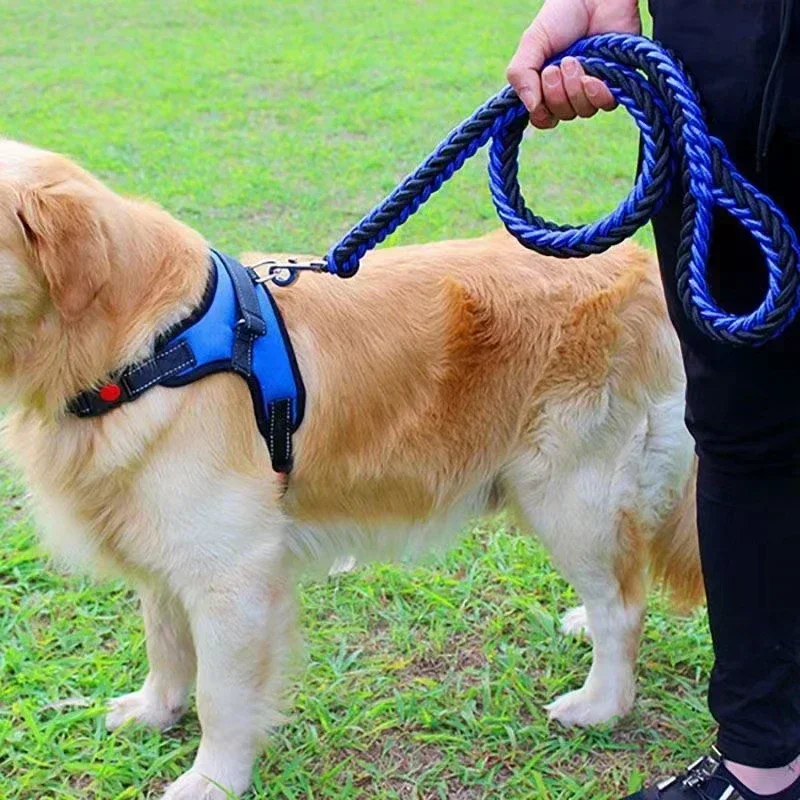 Coleira de Nylon para Cães Médios e Grandes de 130 cm para Passeio - Image 6