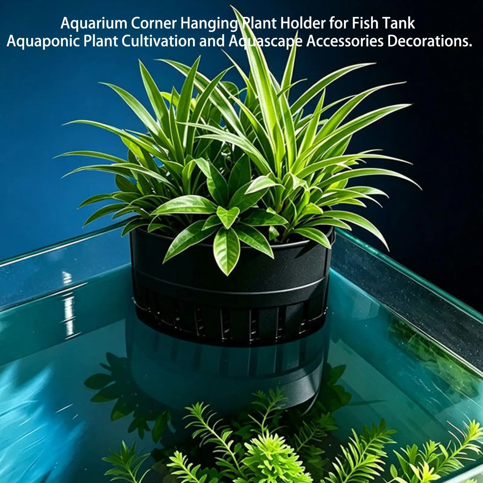 Suporte para Plantas de Aquário com Clipe para Cantos - Imagem 6