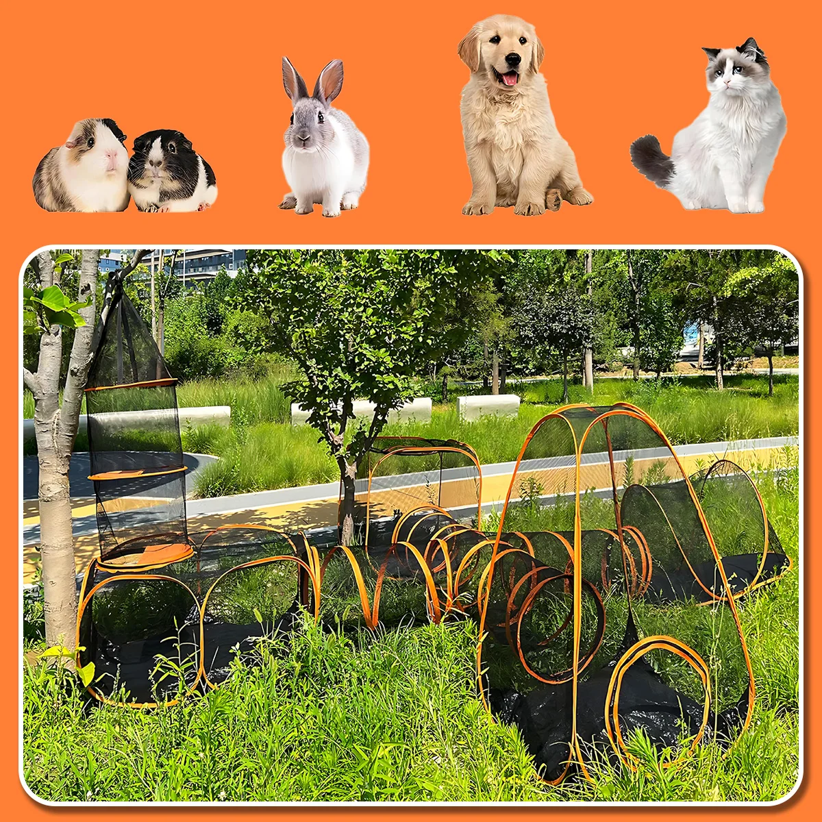 túnel portátil para gatos