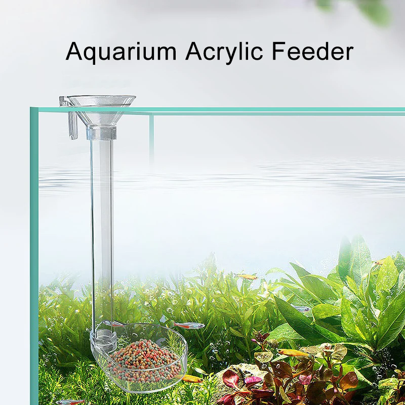 Alimentador de Aquário Acrílico 22 cm Transparente com Escova de Limpeza - Image 2