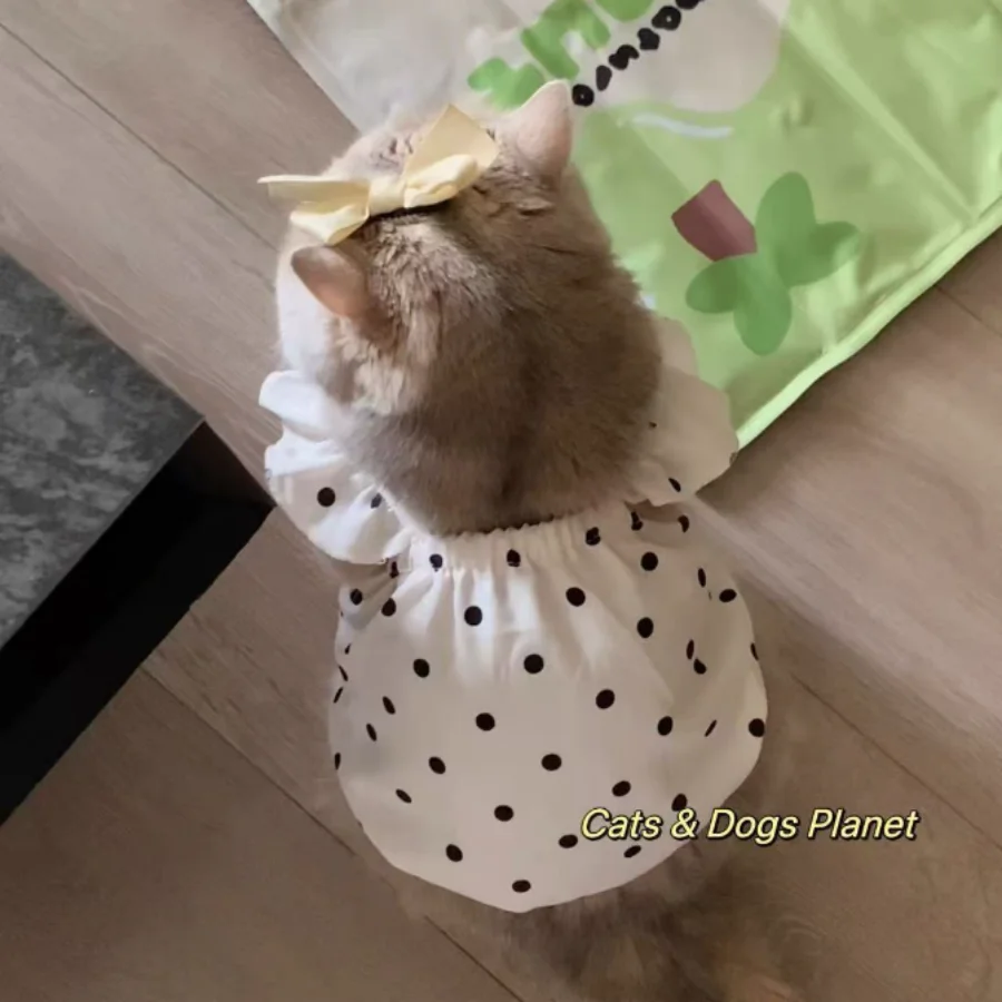 Camiseta Clássica para Cães e Gatos Estampa de Bolinhas - Image 3