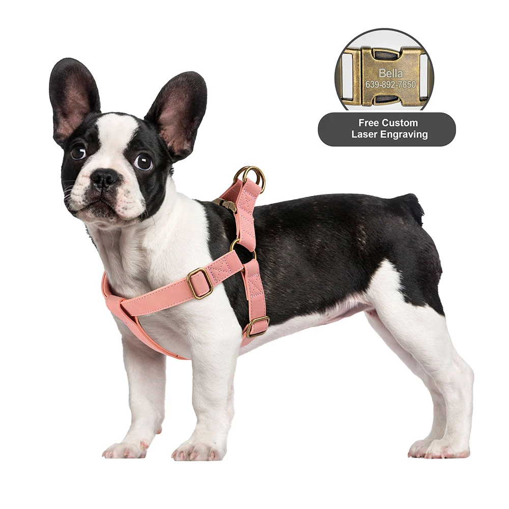 Conjunto Peitoral e Coleira para Cães Pequenos e Médios Ajustável - Image 4