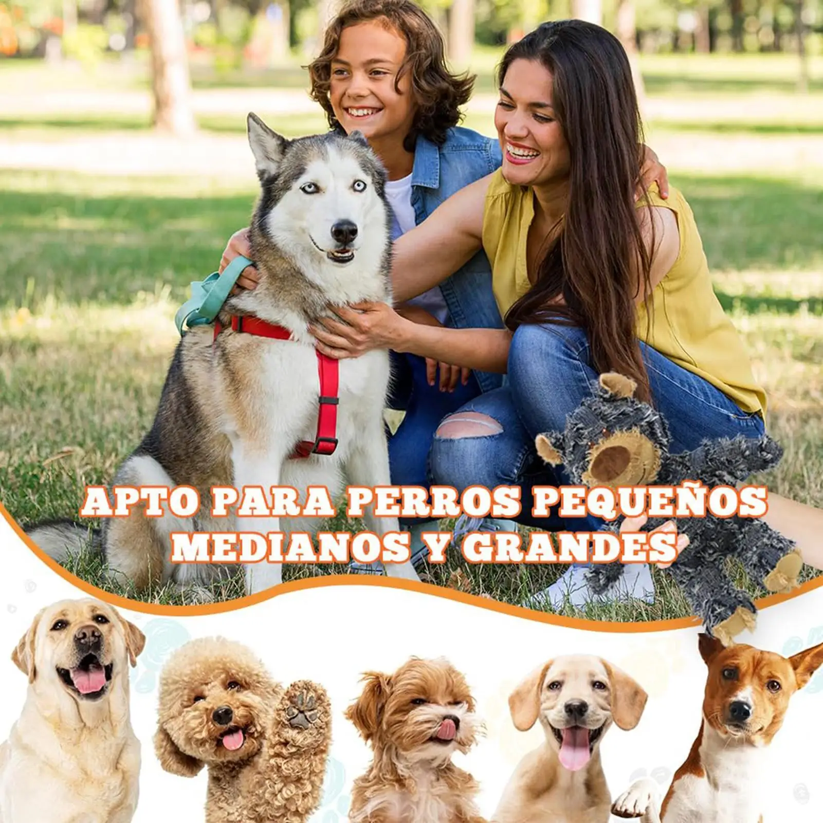 Brinquedo de Urso para Cães com Som e Material Resistente a Rasgos - Image 5