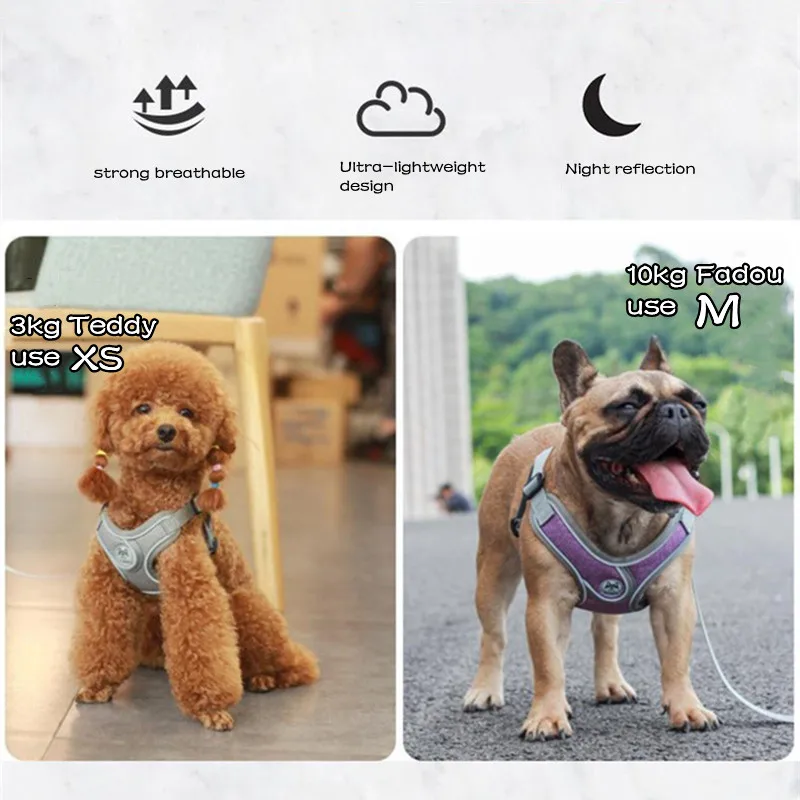 Colete Peitoral Ajustável para Cães com Faixa Refletiva - Imagem 2