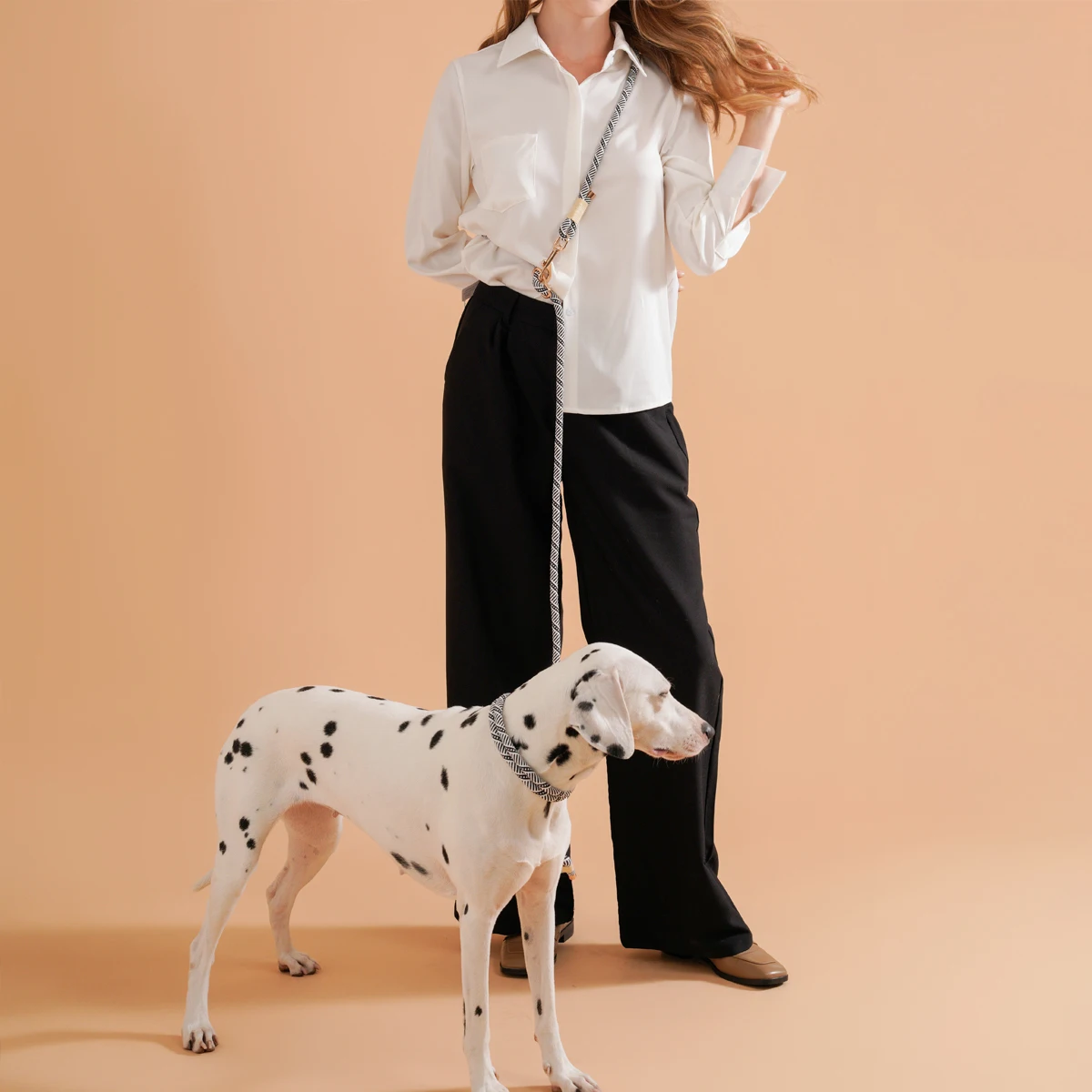 Coleira e Guia para Cães de Nylon com Estampa Listrada - Imagem 5