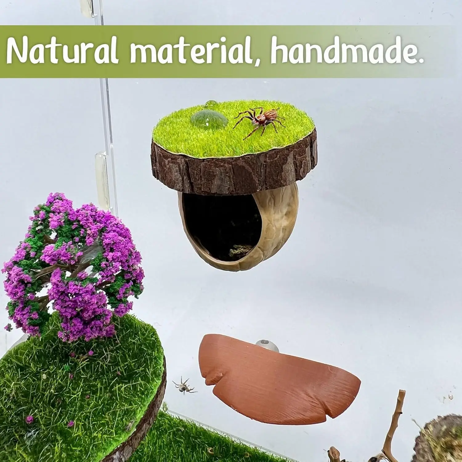 Kit de Decoração para Habitat de Aranha com Esconderijo - Imagem 4