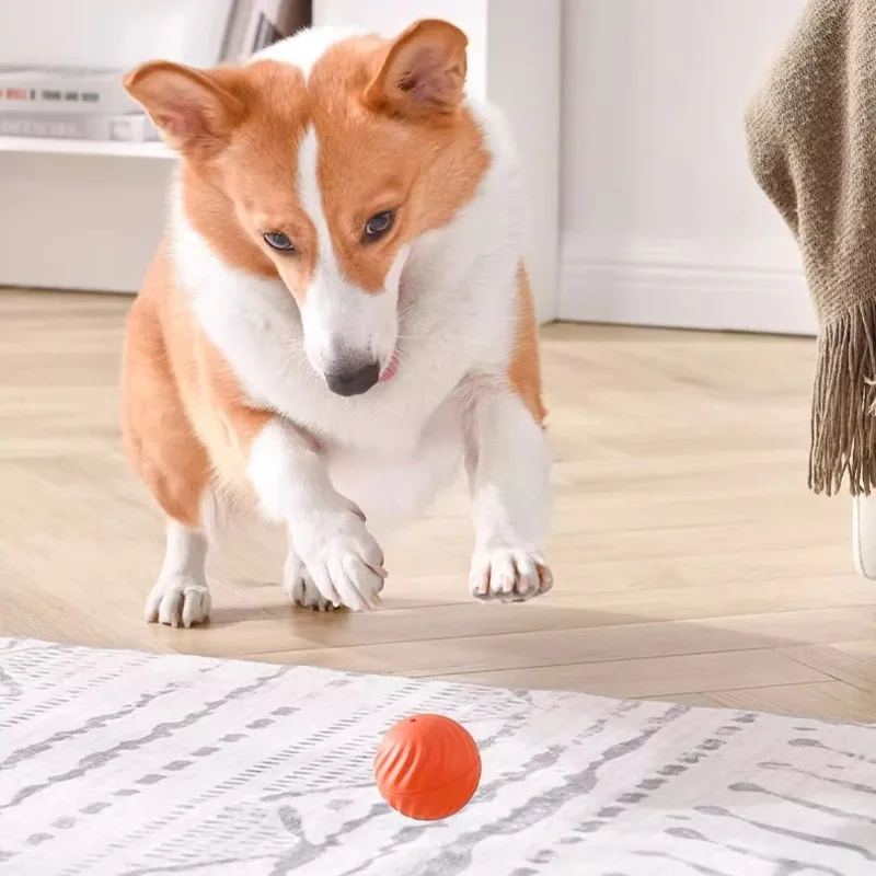 Bola Interativa para Cães Recarregável USB Movimento Automático - Imagem 5