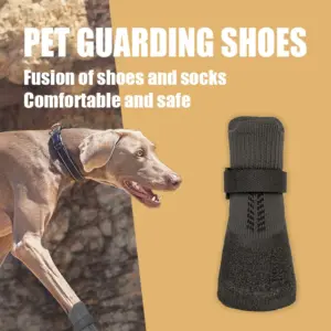 sapatos para cães proteção de patas