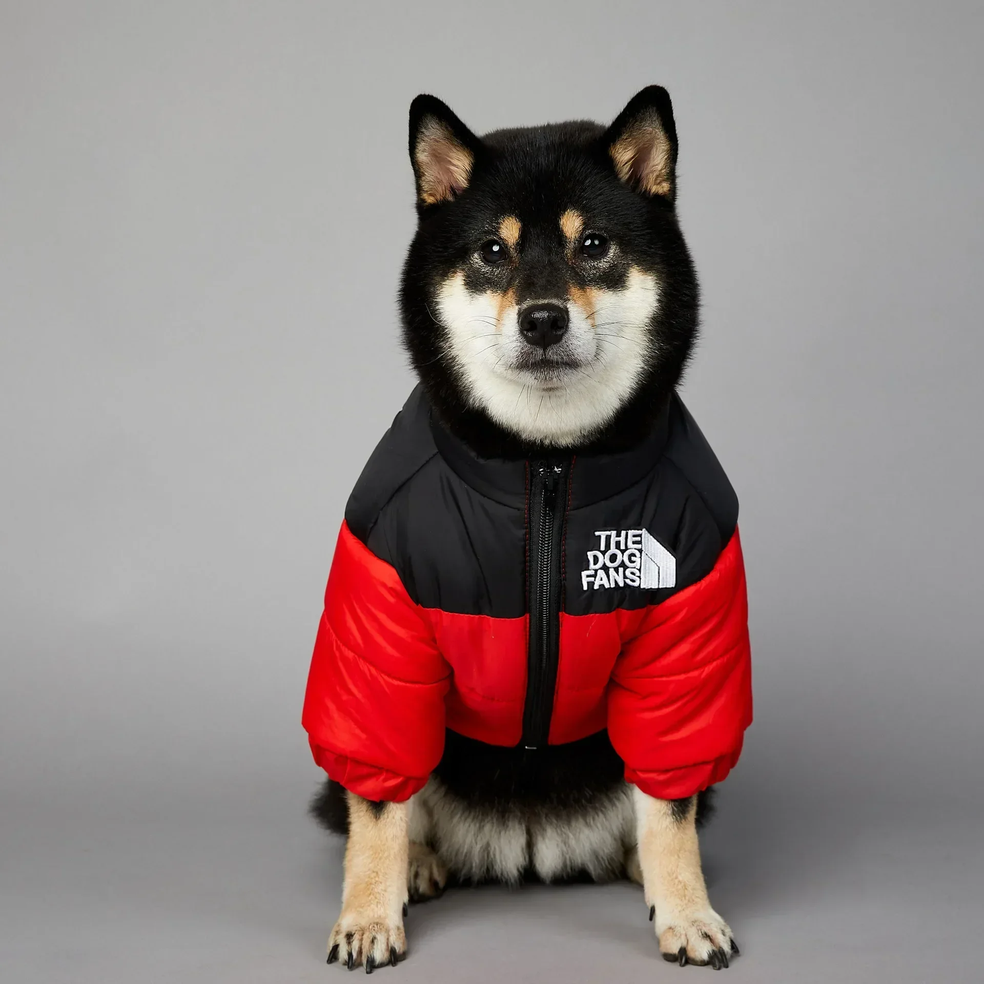 Jaqueta para Cães de Inverno para Cães Pequenos e Médios - Imagem 5