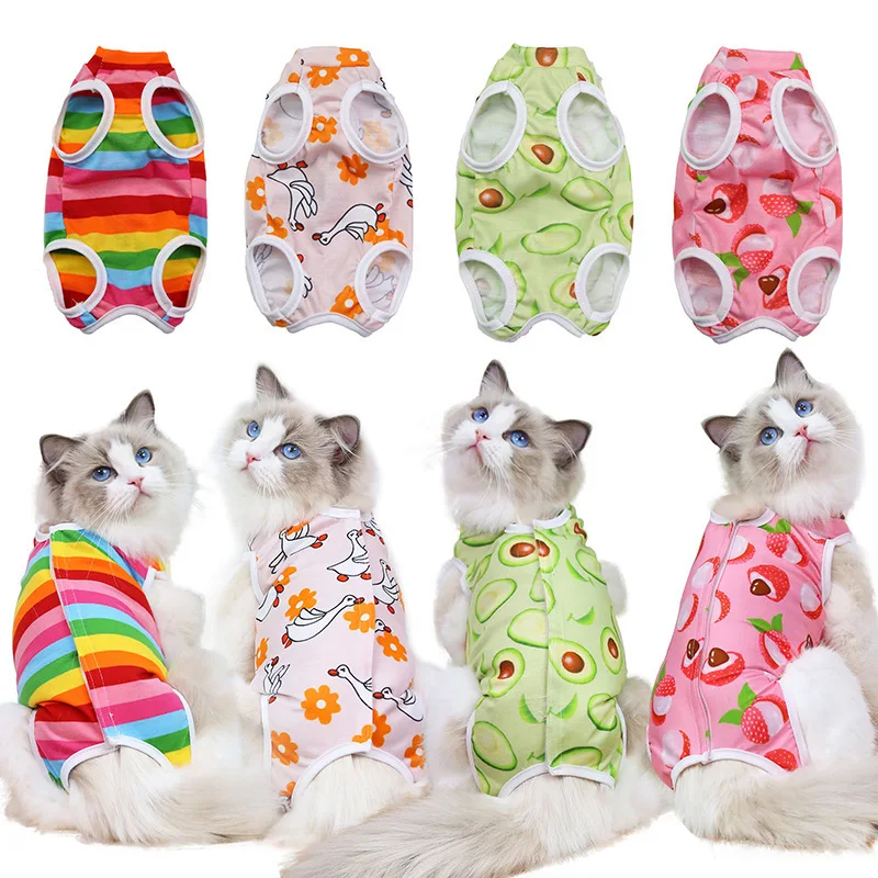 roupa de recuperação para gatos