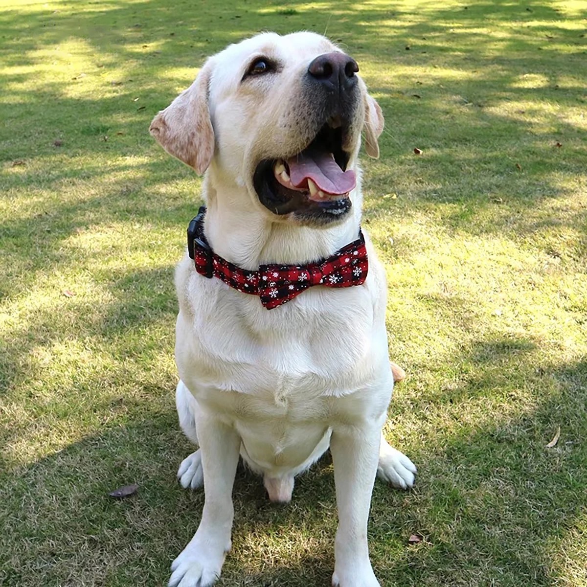 Coleira para Cães e Gatos com Gravata Borboleta Xadrez Ajustável - Imagem 6