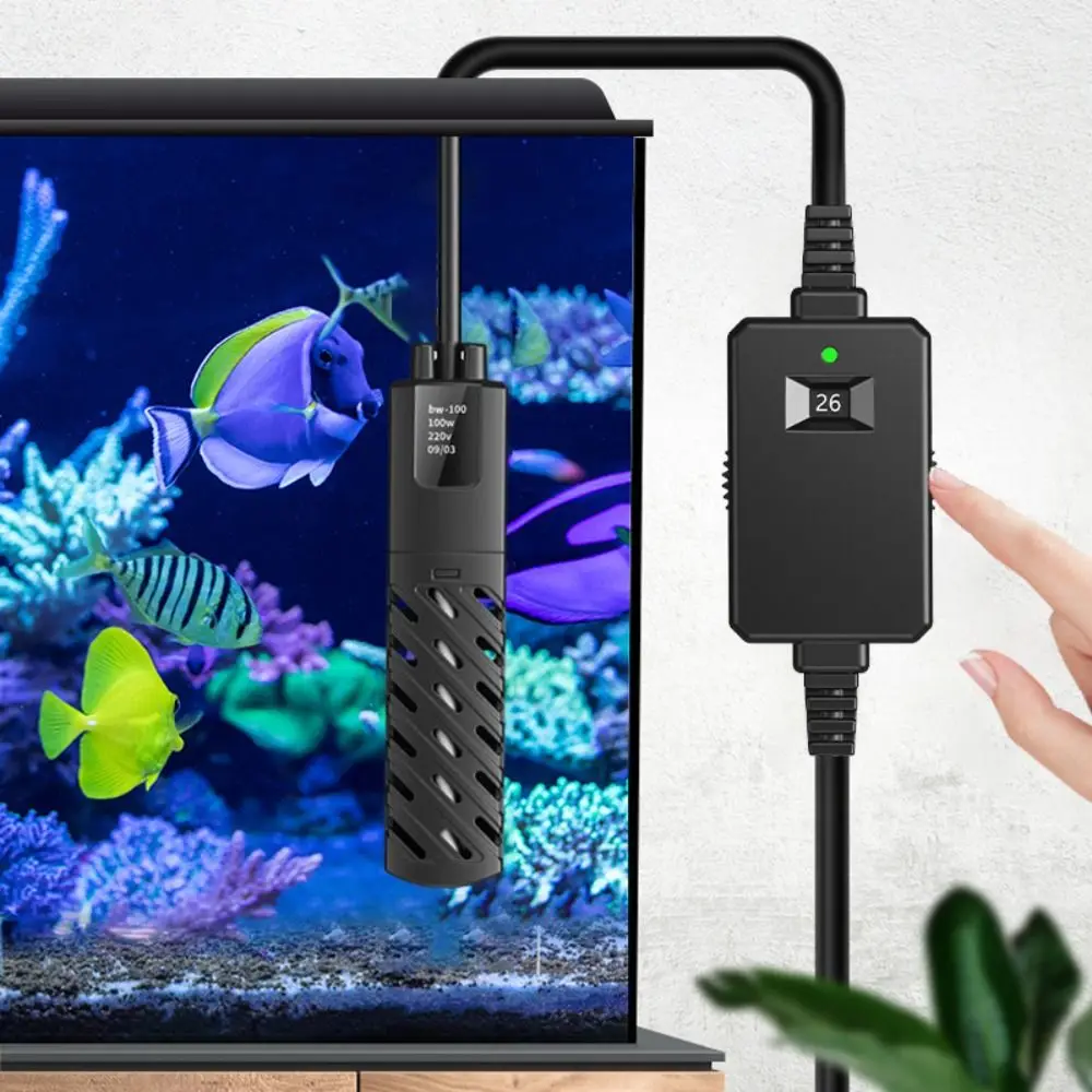 aquecedor submersível para aquário