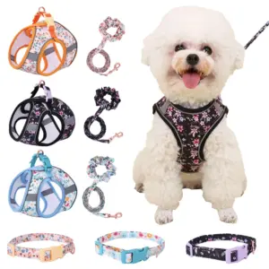 conjunto coleira e guia para cães pequenos