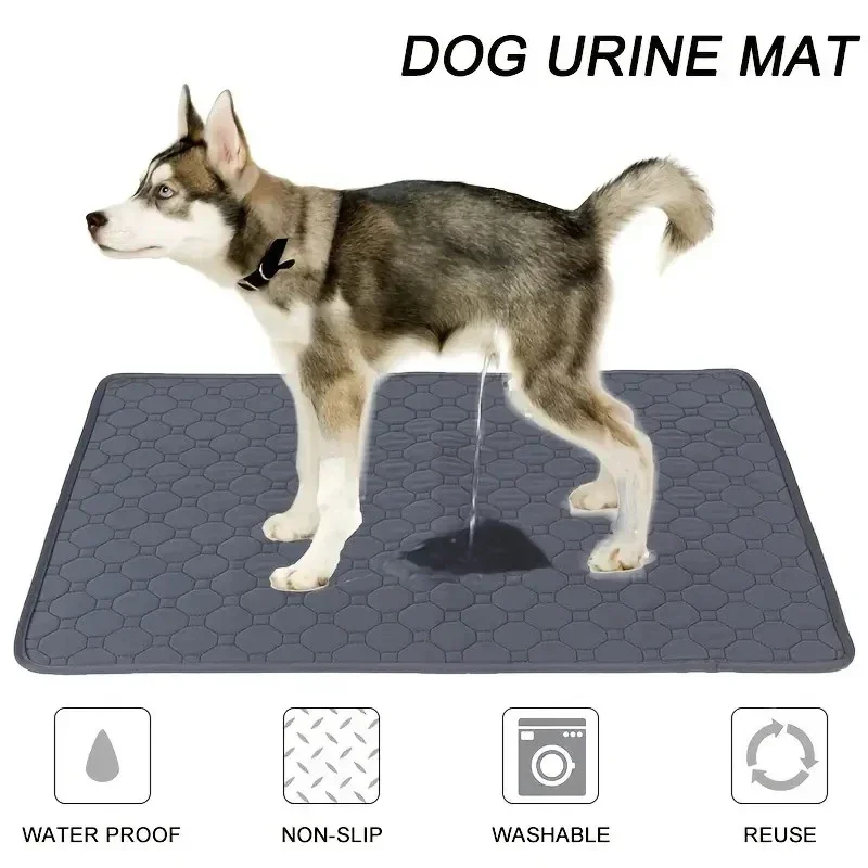 tapete higiênico reutilizável para cães e gatos