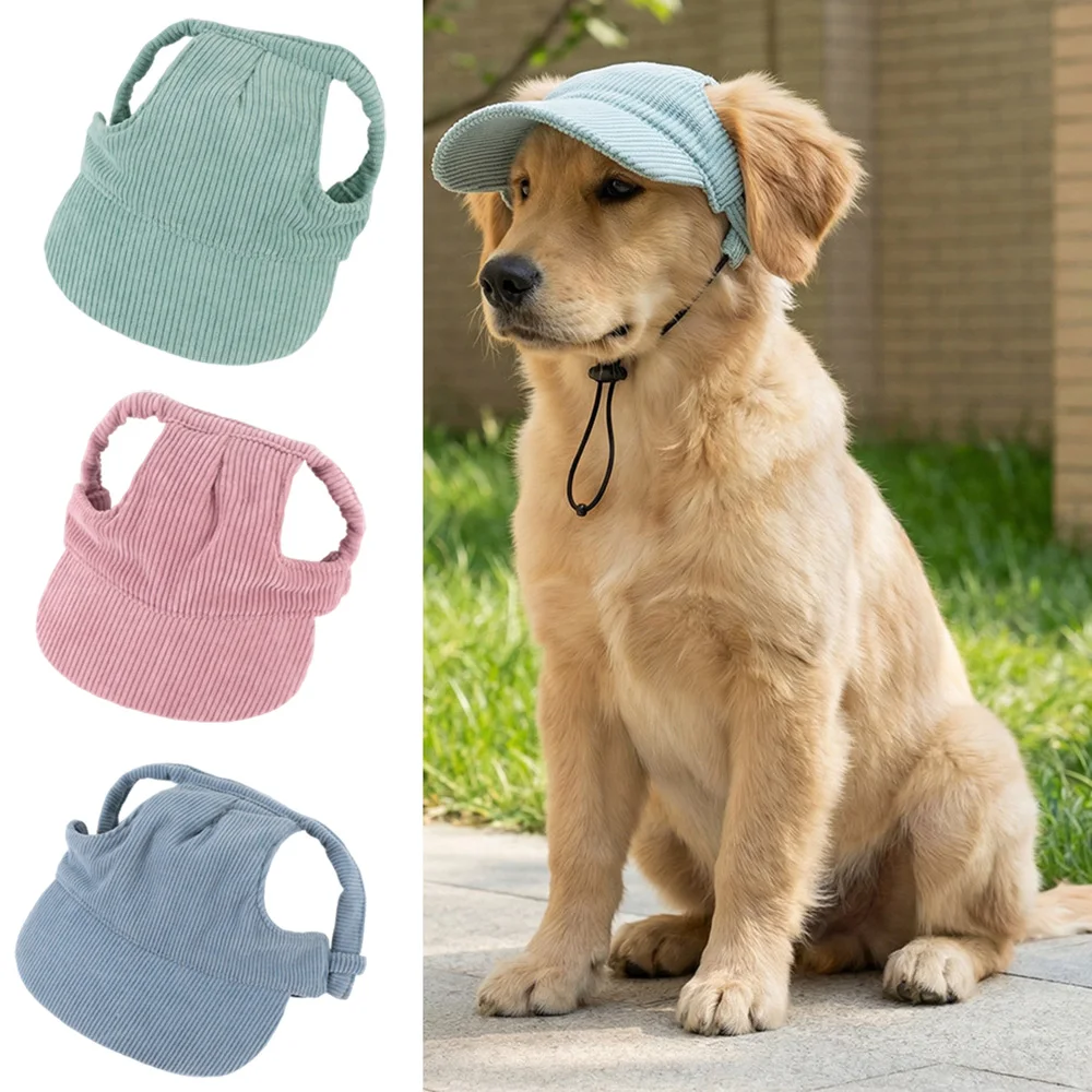 boné de veludo cotelê para cães
