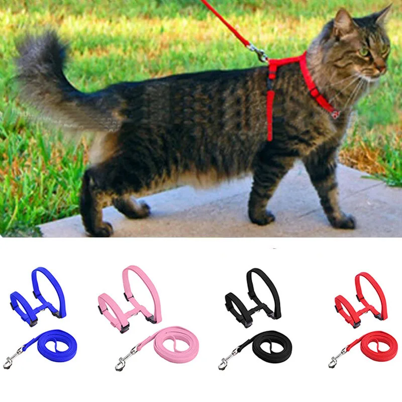 coleira ajustável de nylon para gatos