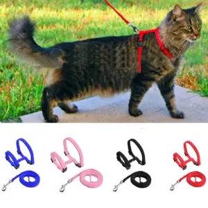 coleira de nylon ajustável para gatos